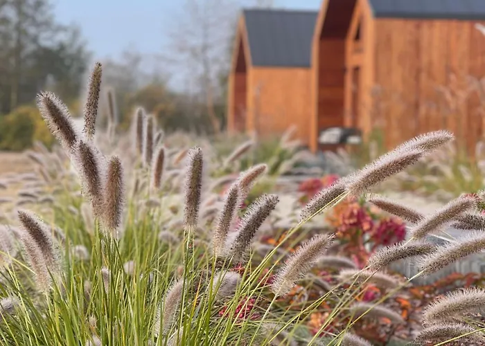 Stodoly Trzy Zywioly Apartment Prusim