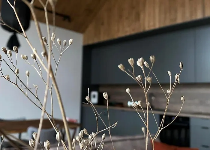 Stodoly Trzy Zywioly